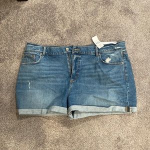 Loft denim shorts NWT